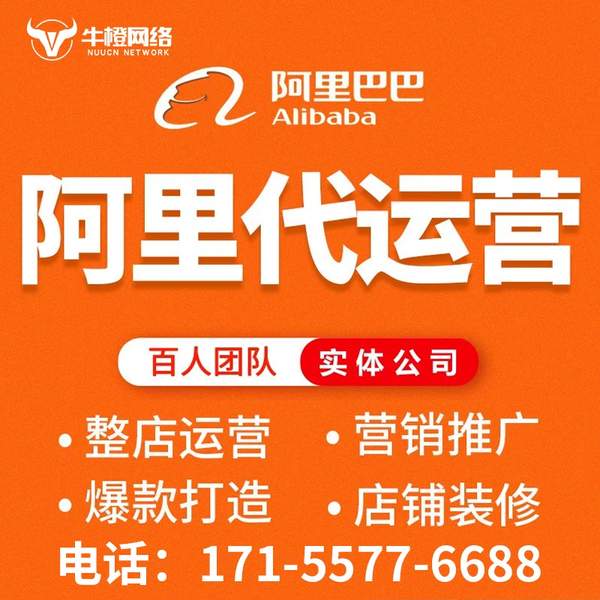 楚雄电商代运营
