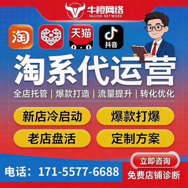 楚雄电商代运营