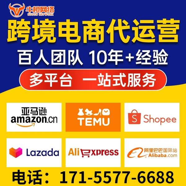 楚雄电商代运营