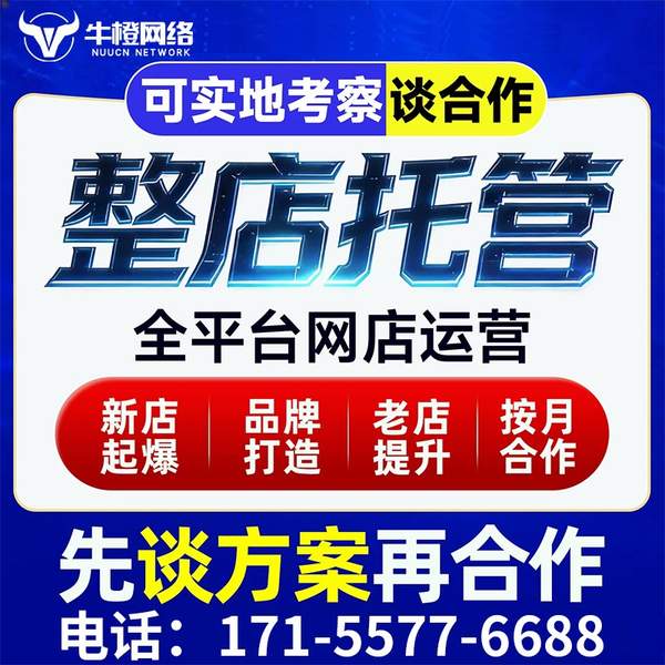 楚雄电商代运营