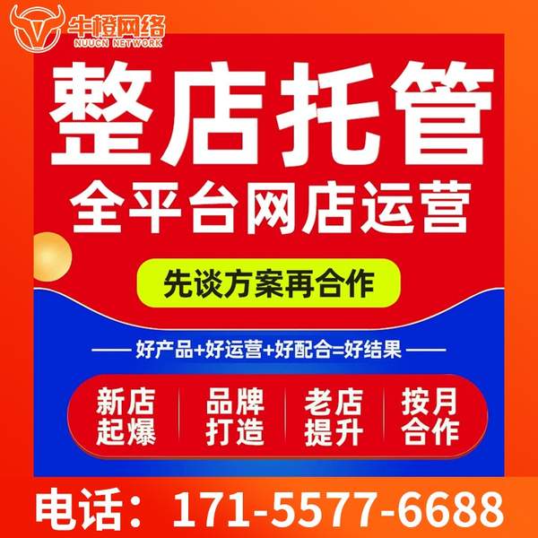 楚雄电商代运营