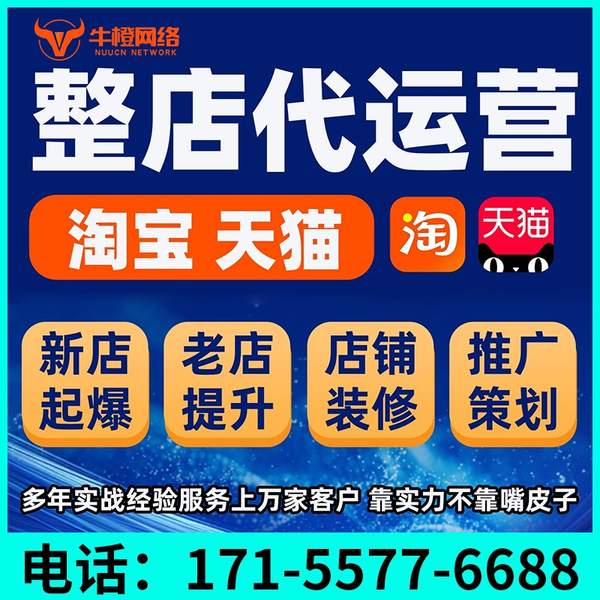 楚雄电商代运营