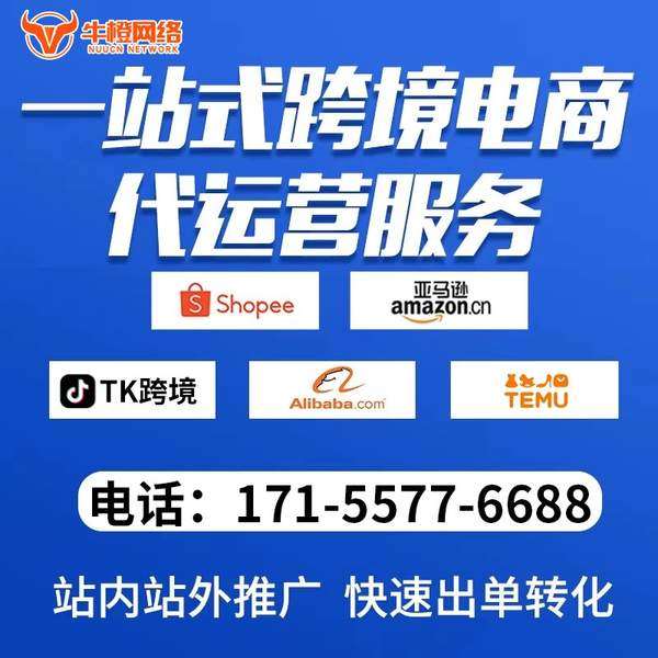 楚雄电商代运营