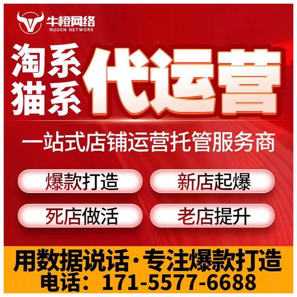 楚雄电商代运营